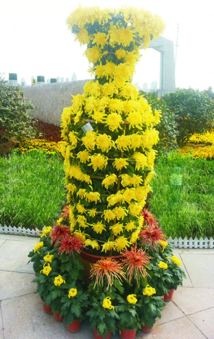 花瓶1.jpg